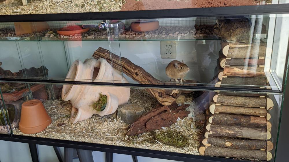 Degoe kooi voor knaagdieren 200x50x100