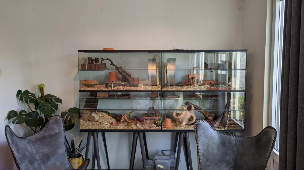 Degoe Terrarium 200x50x100