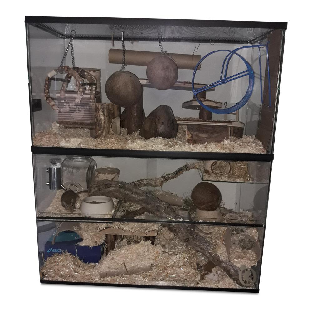 Opzetstuk Gerbilarium 80x40