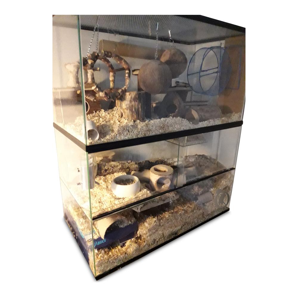 Opzetstuk Gerbilarium 80x40