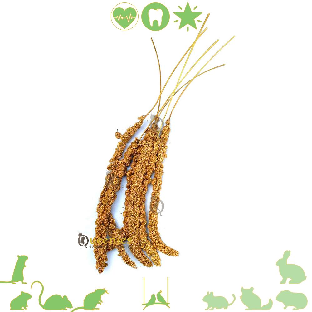 Trosgierst voor knaagdieren 150 gram