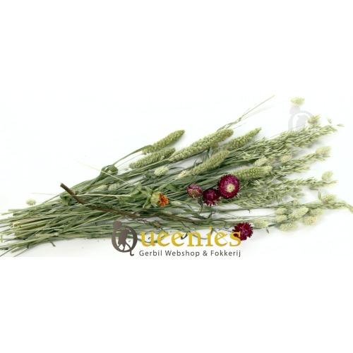 Knaagdier Bouquet gedroogde grassen en kruiden voor Dwerghamster