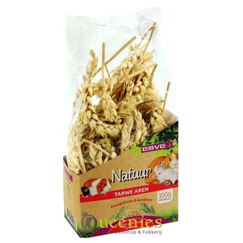 Tarwe Aren in hamsterscaping