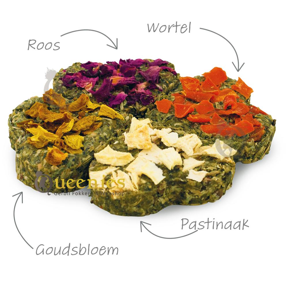 Jr Farm Gelukskwartet 4st - Platte variant van een Knaagpot of Smulreep voor Ratten en Degoe