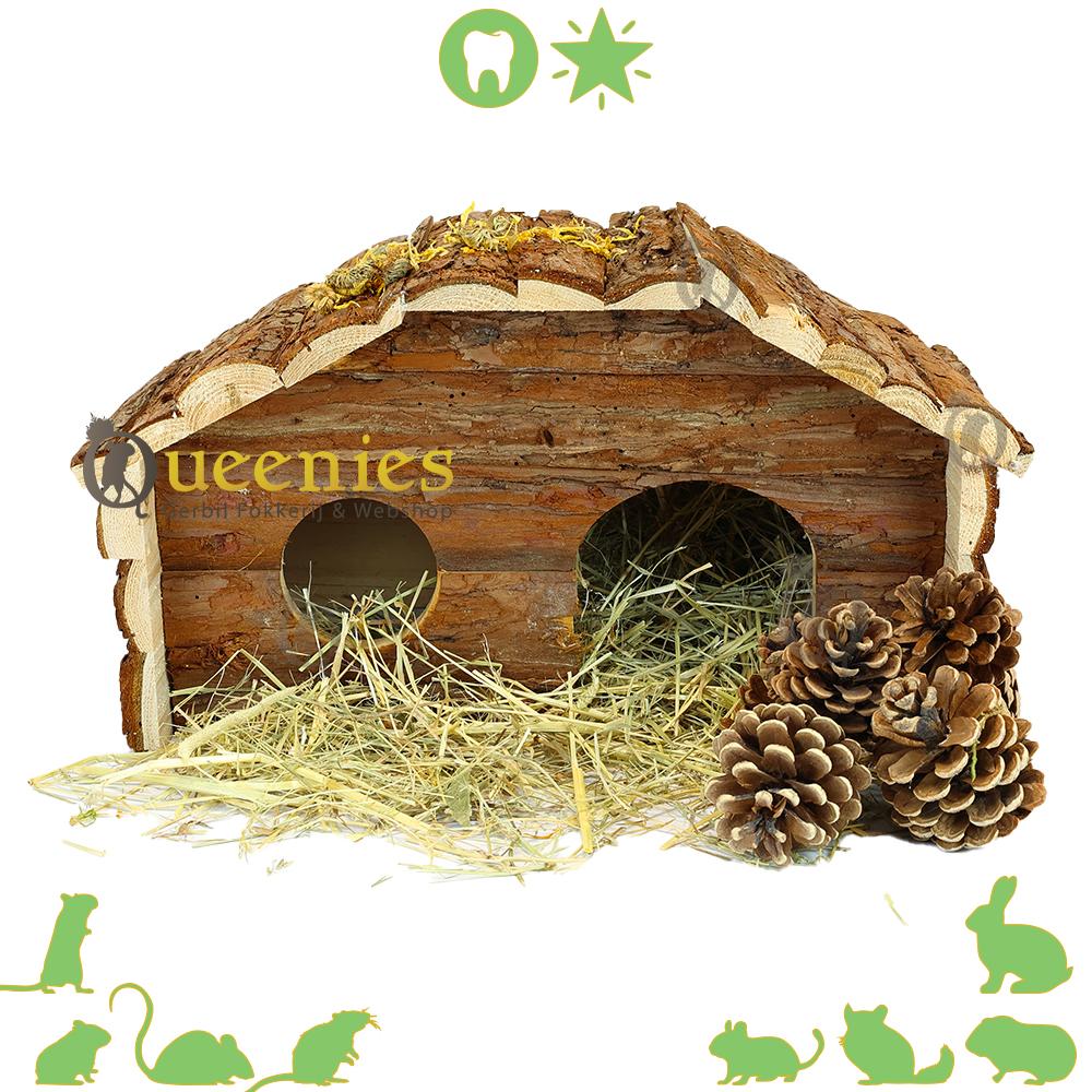 Natuurlijk knaagdierhuisje cavia