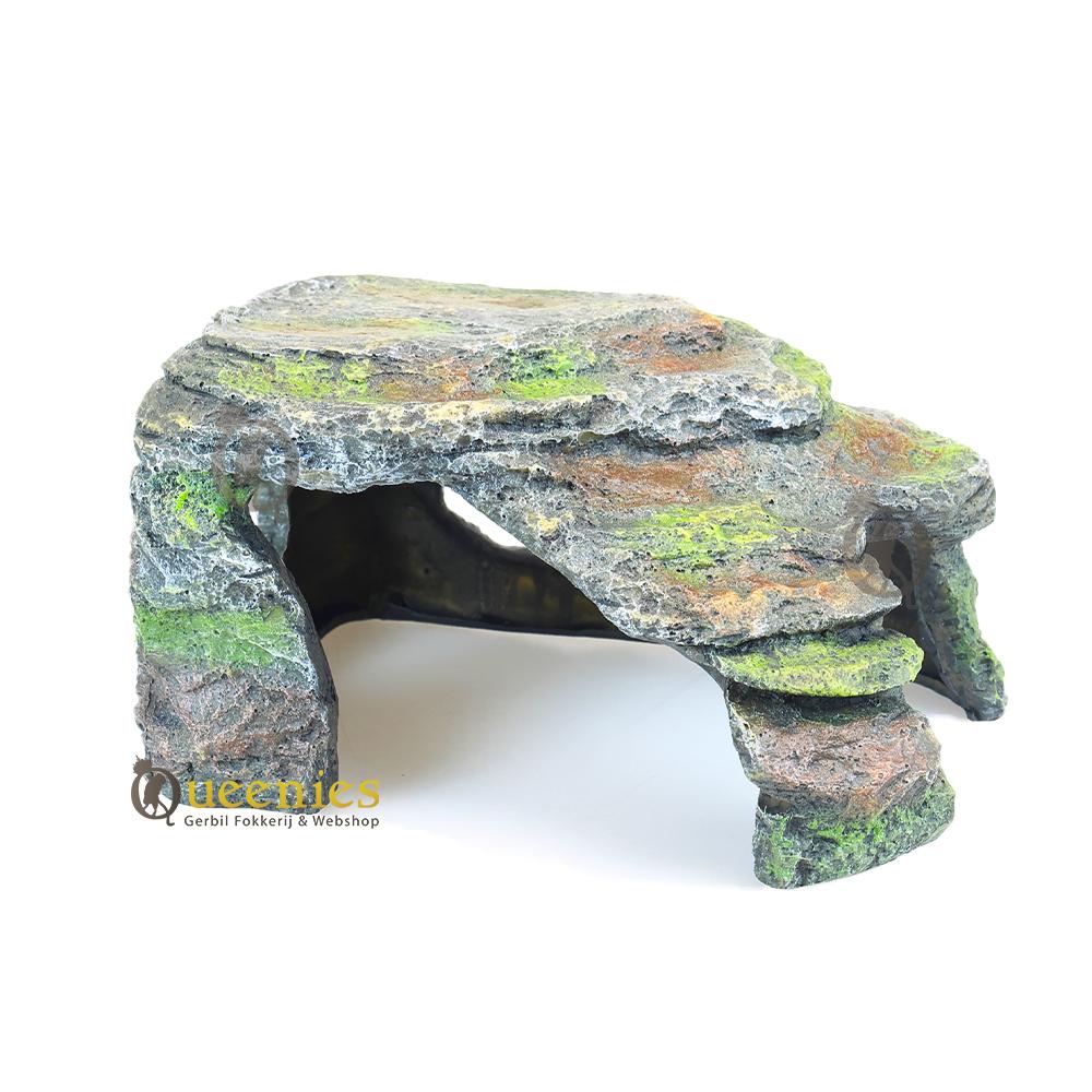 Hamster rots met trap