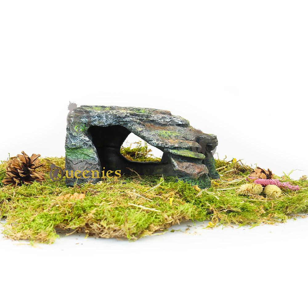 Hoeksteen met grot voor hamster schuilplaats