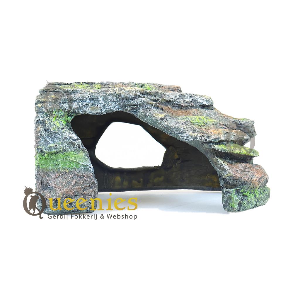 Knaagdieren rots voor in aquarium