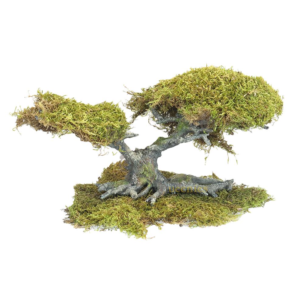 Color wood gebruiken voor hamsterscape bonsia boom