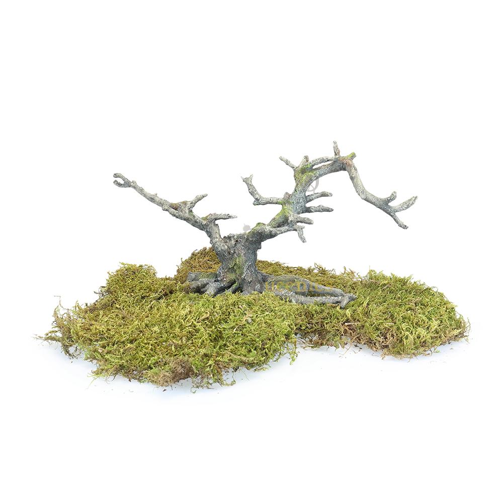 Hamsterscapings decoratie met bonsai boom