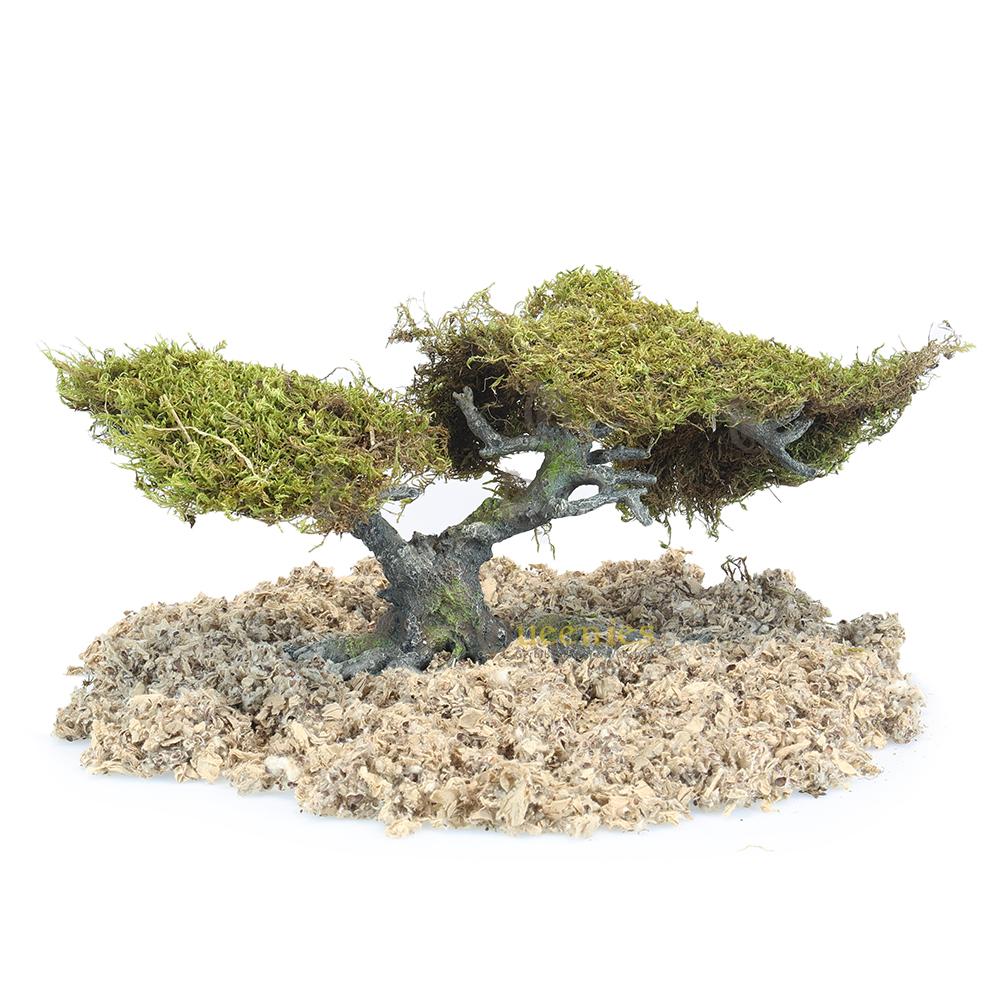 Knaagdier speelgoed met bonsai boom