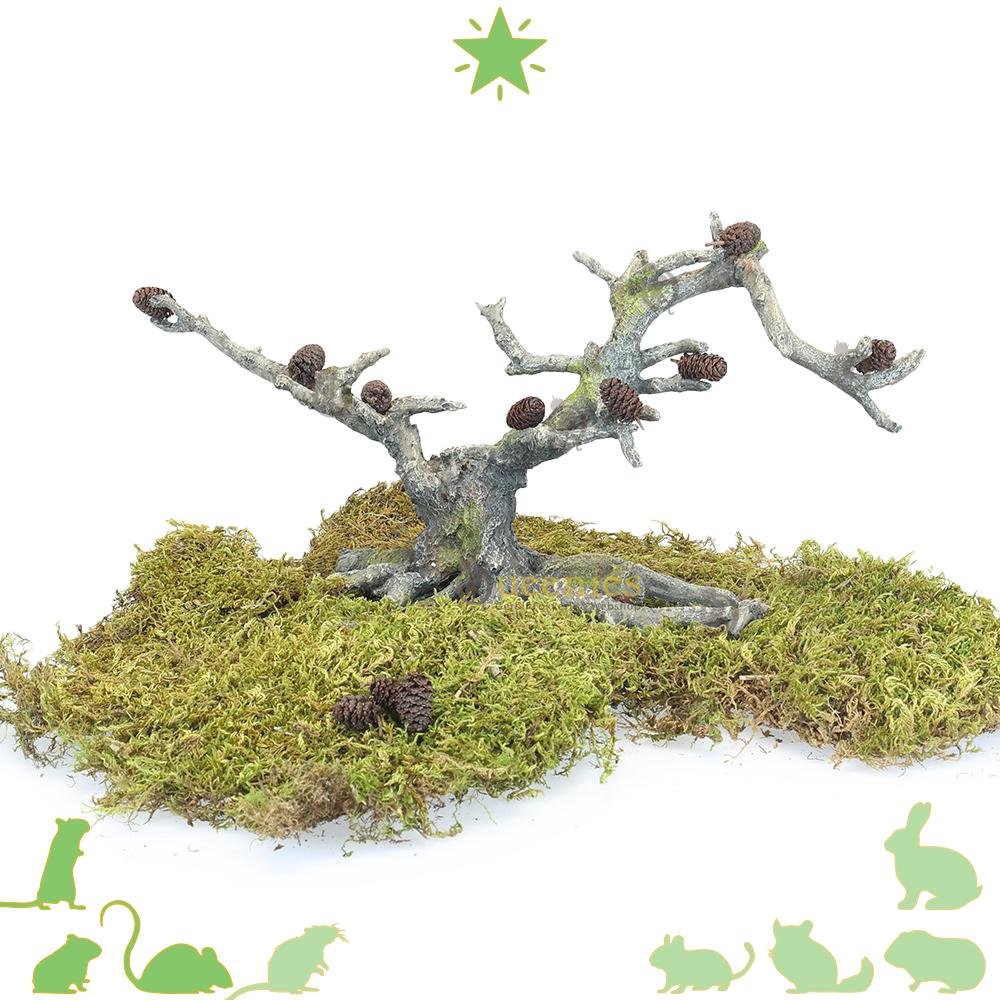 Decoratieve Bonsai Boom voor Hamsterscaping