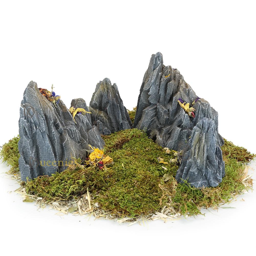 Goudhamster rots voor hamster terrarium