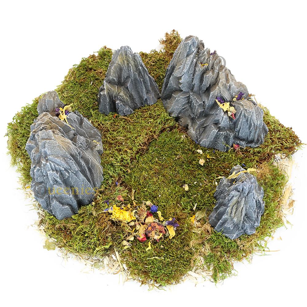 Rots voor natuurlijke Hamsterscape uitstraling