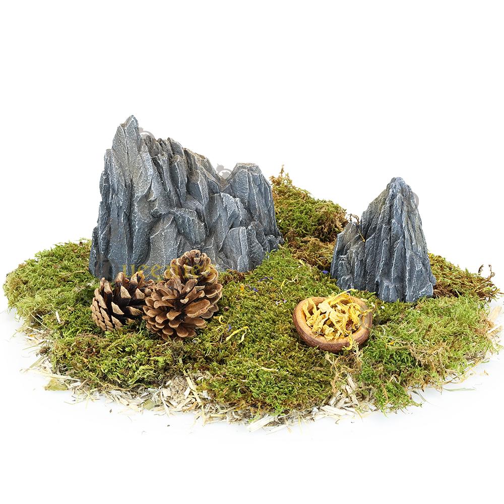 Rots voor dwerghamsters in terrarium