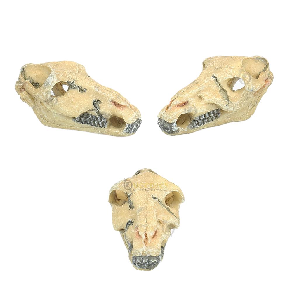 Mini Skulls Paard