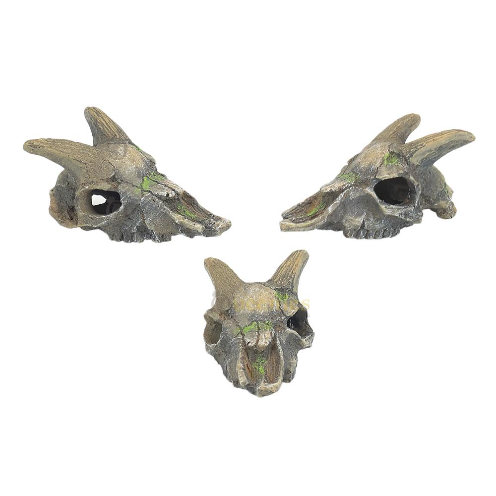 Mini Skulls Geit