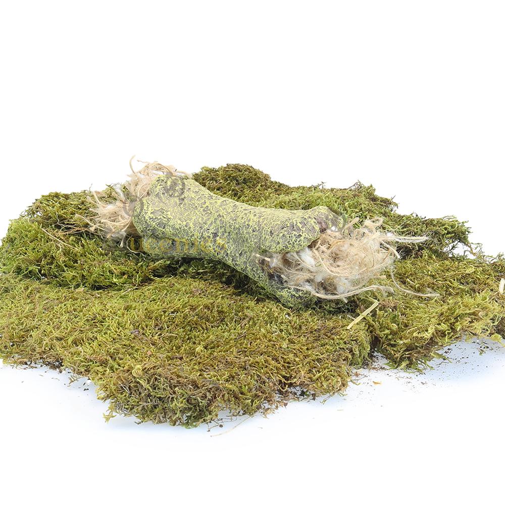 Verstoptunnel met speelmaterialen voor kleine knaagdieren