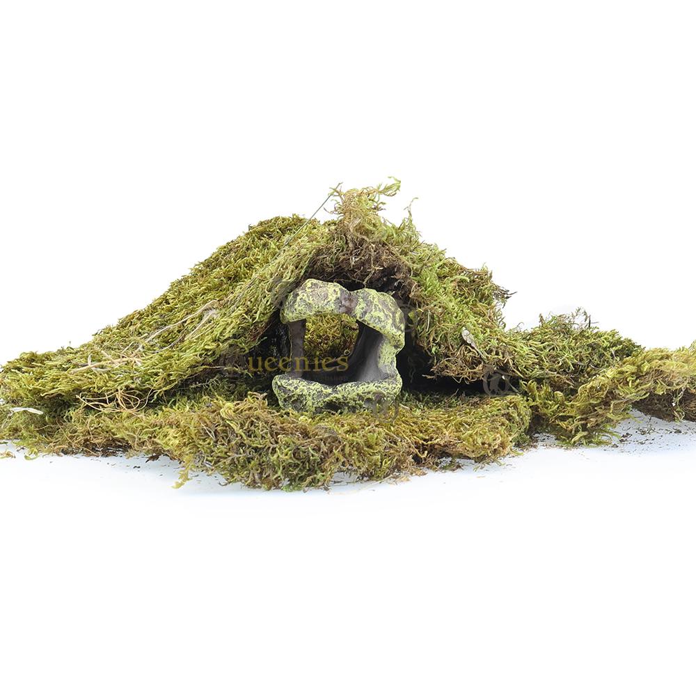 Verstoptunnel voor muizen en gerbils