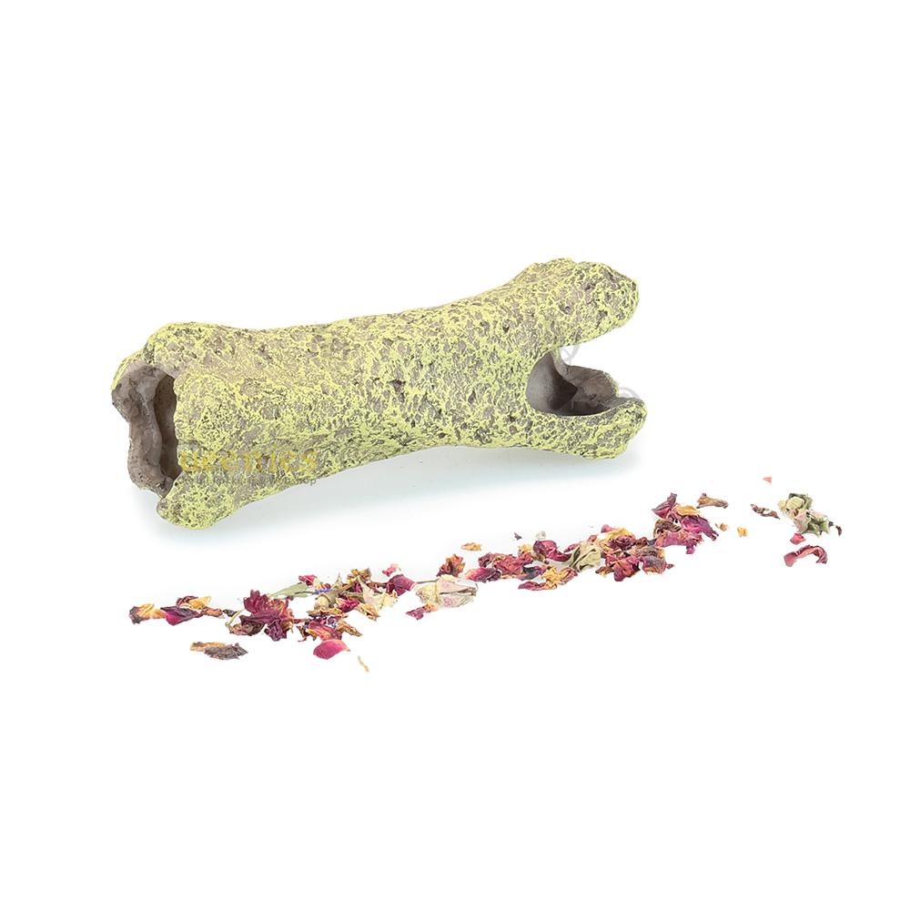 Knaagdier tunnel met natuurlijke twist