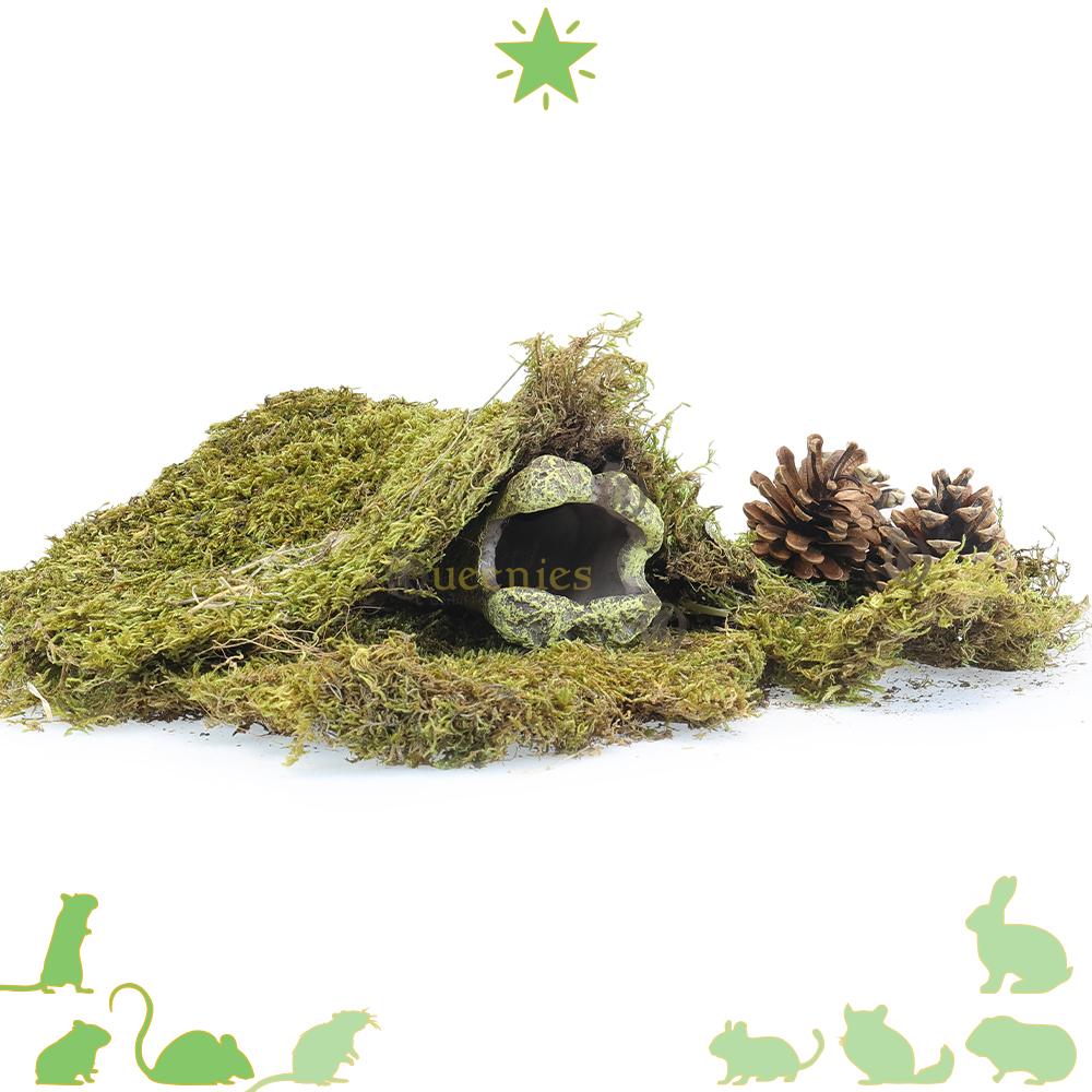 Schuilplaats voor hamster in hamsterscape