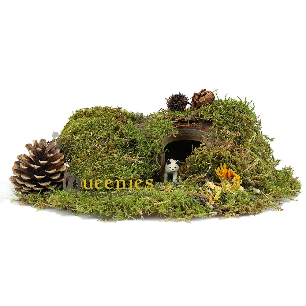 Mos huisje voor Knaagdieren