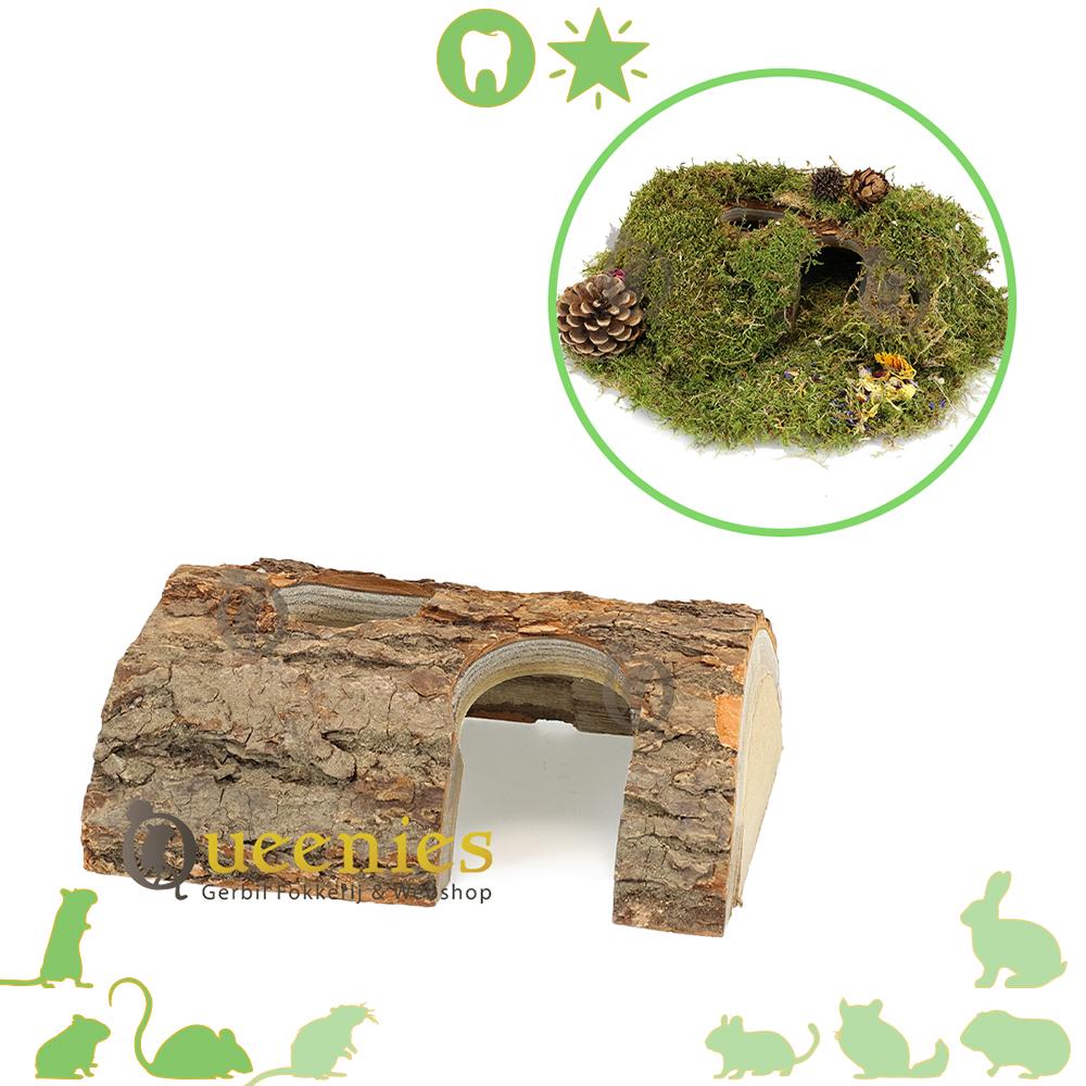 Forest Iglo Bungalow. Een leuk Hamsterhuisje