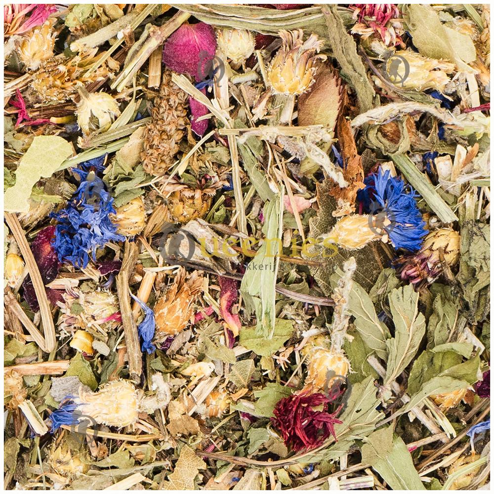 Lekkere snacks voor hamsters en konijnen