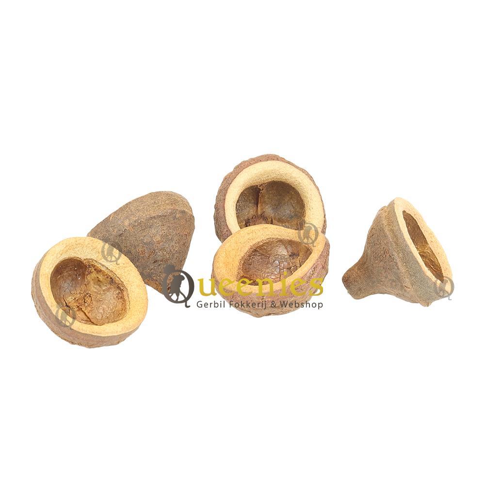 Notendop als snackbak 5-10 cm