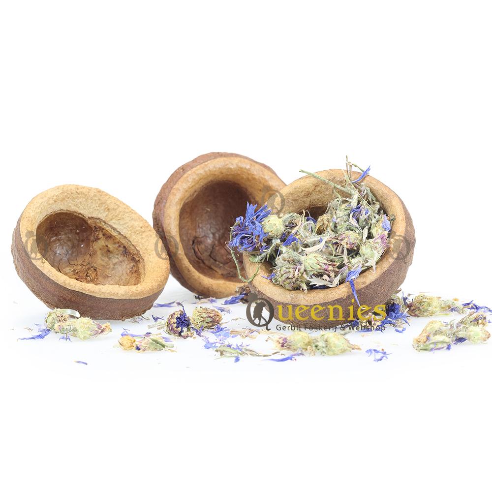 Notendop als snackbak 5-10 cm