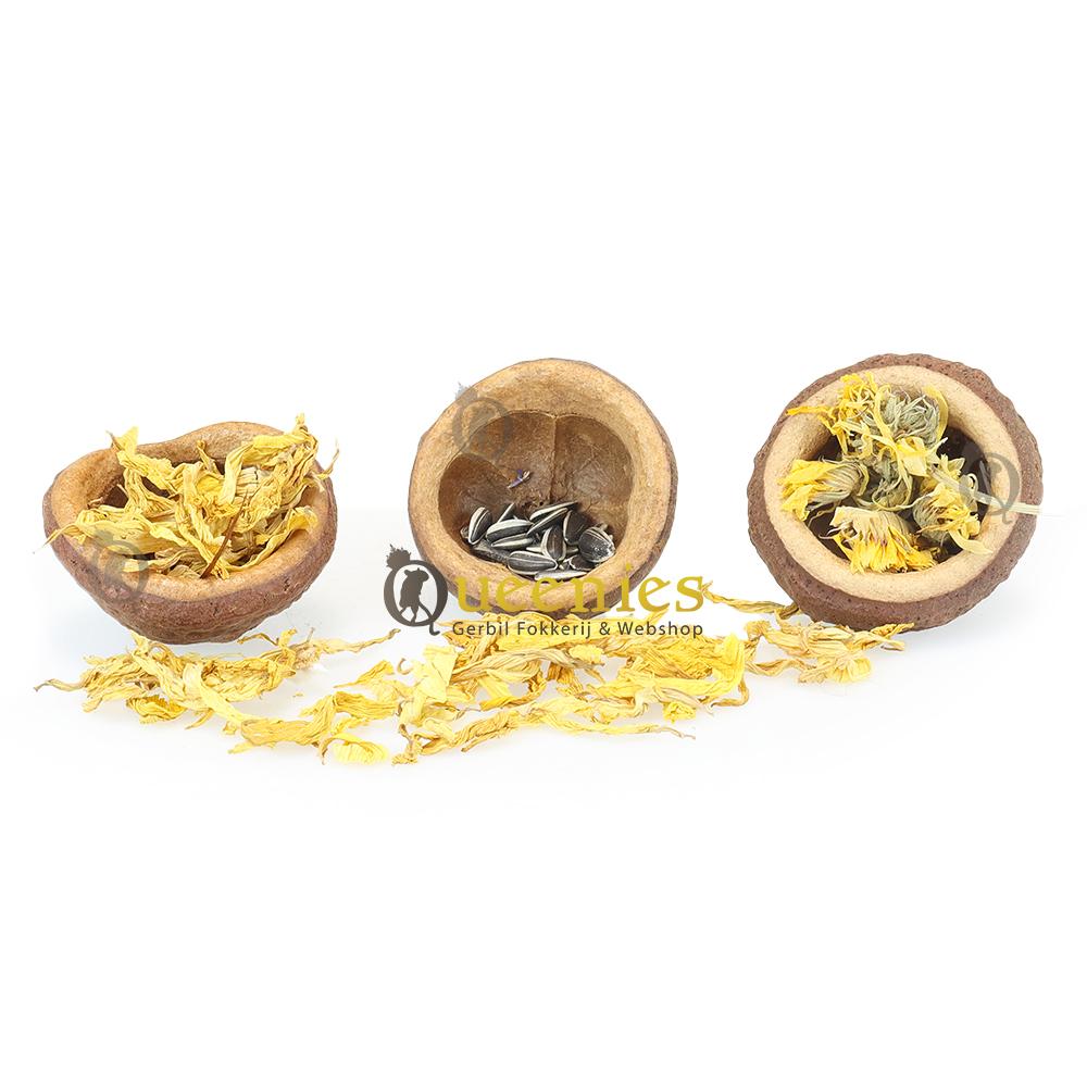 Notendop als snackbak 5-10 cm