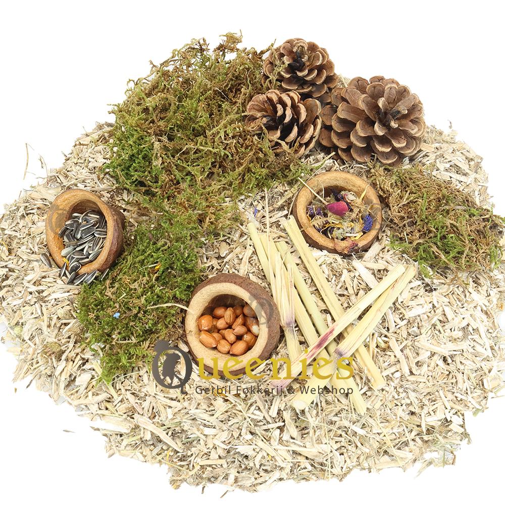 Notendop als snackbak voor GOudhamsters