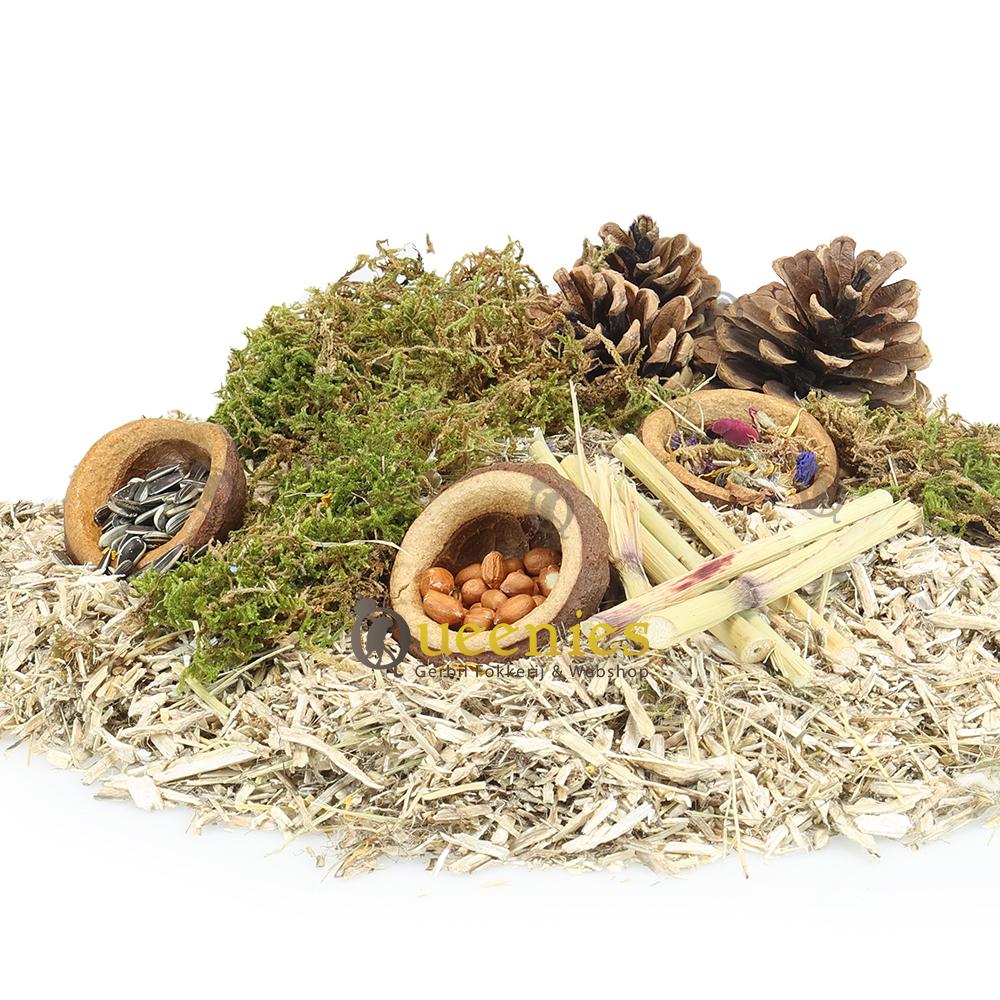 Notendop als snackbak voor Gerbils