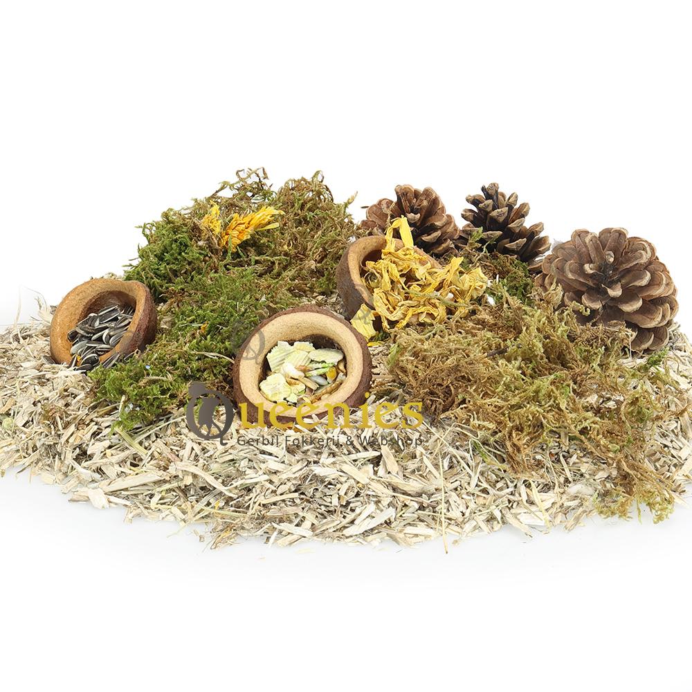 Notendop als snackbak 5-10 cm