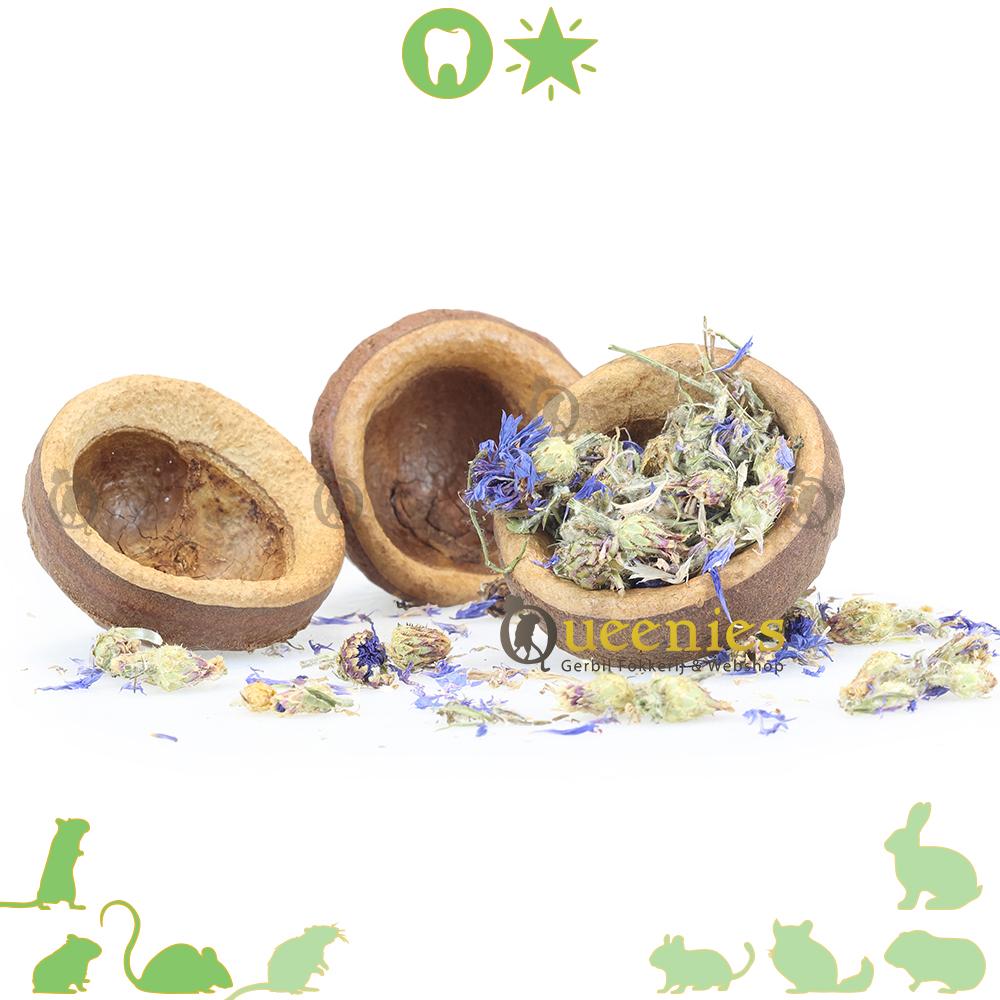 Notendop als snackbak 5-10 cm