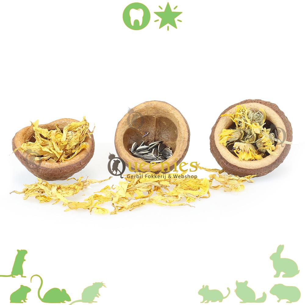 Notendop als snackbak in hamsterscaping