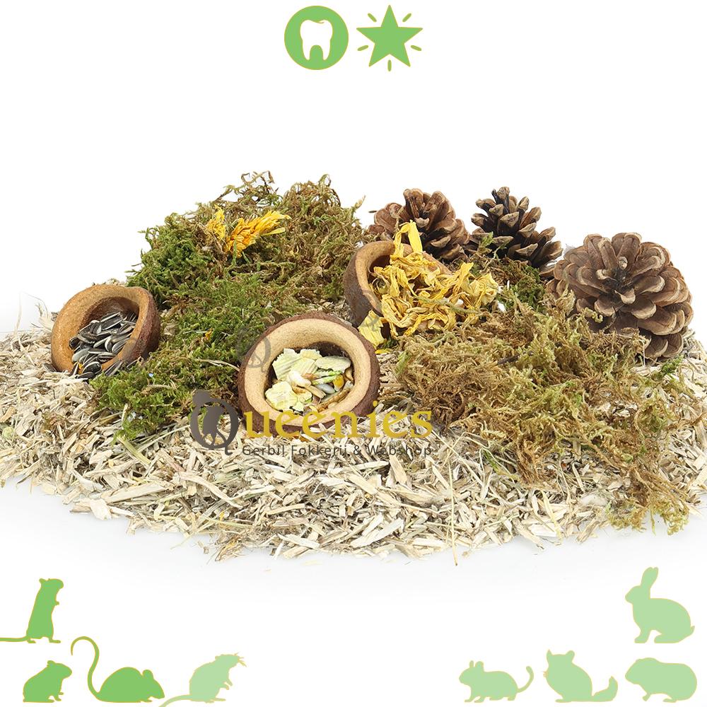 Notendop als snackbak Voor Hamsters