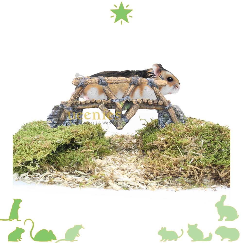 Brug voor in Hamsterscape van Goudhamster