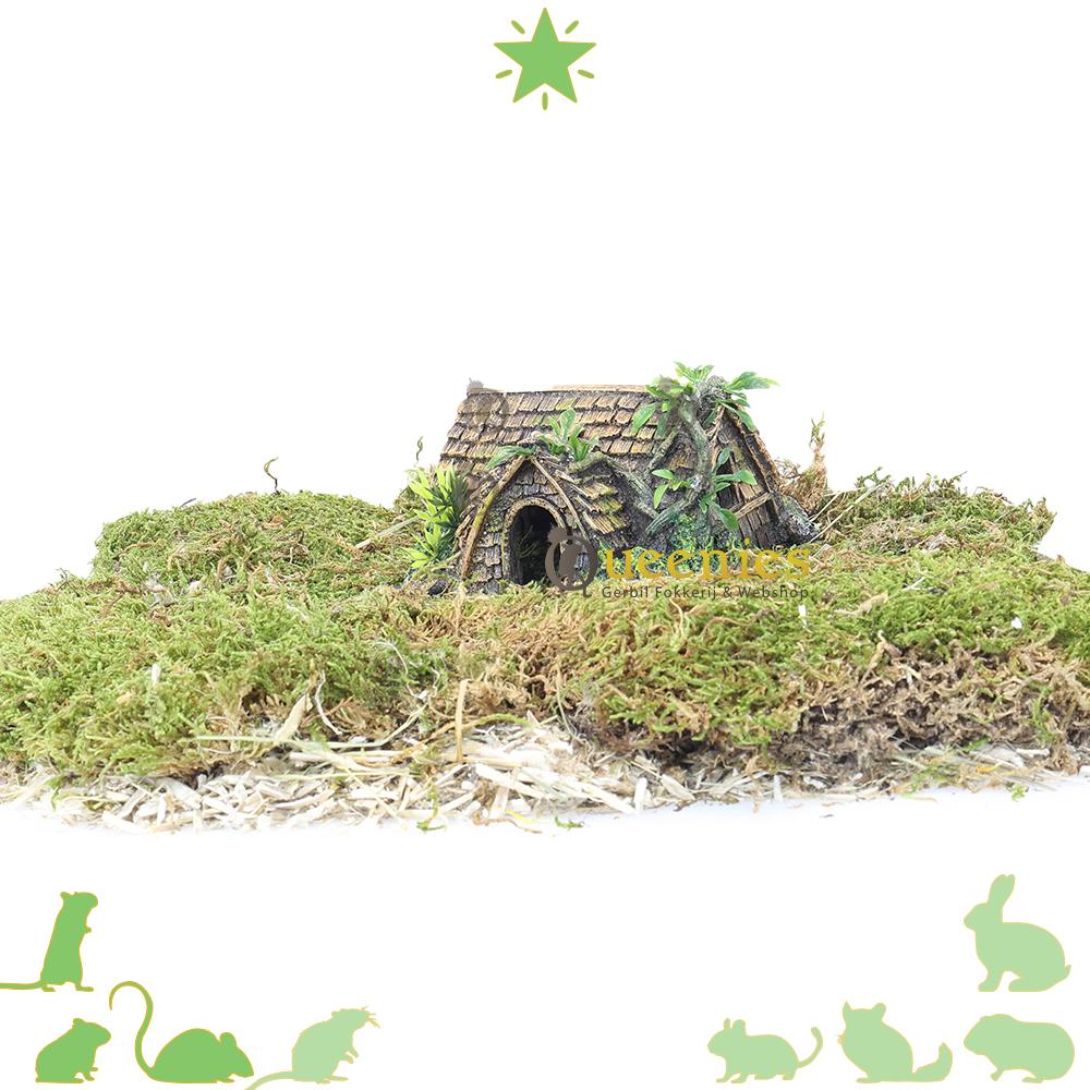 Hamsterscapingshuisje voor Roborovski hamster