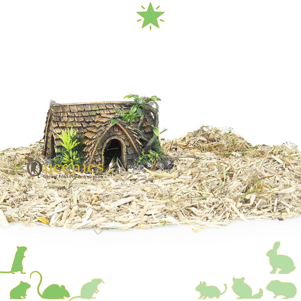 Hamster huisjes kopen voor Muizen