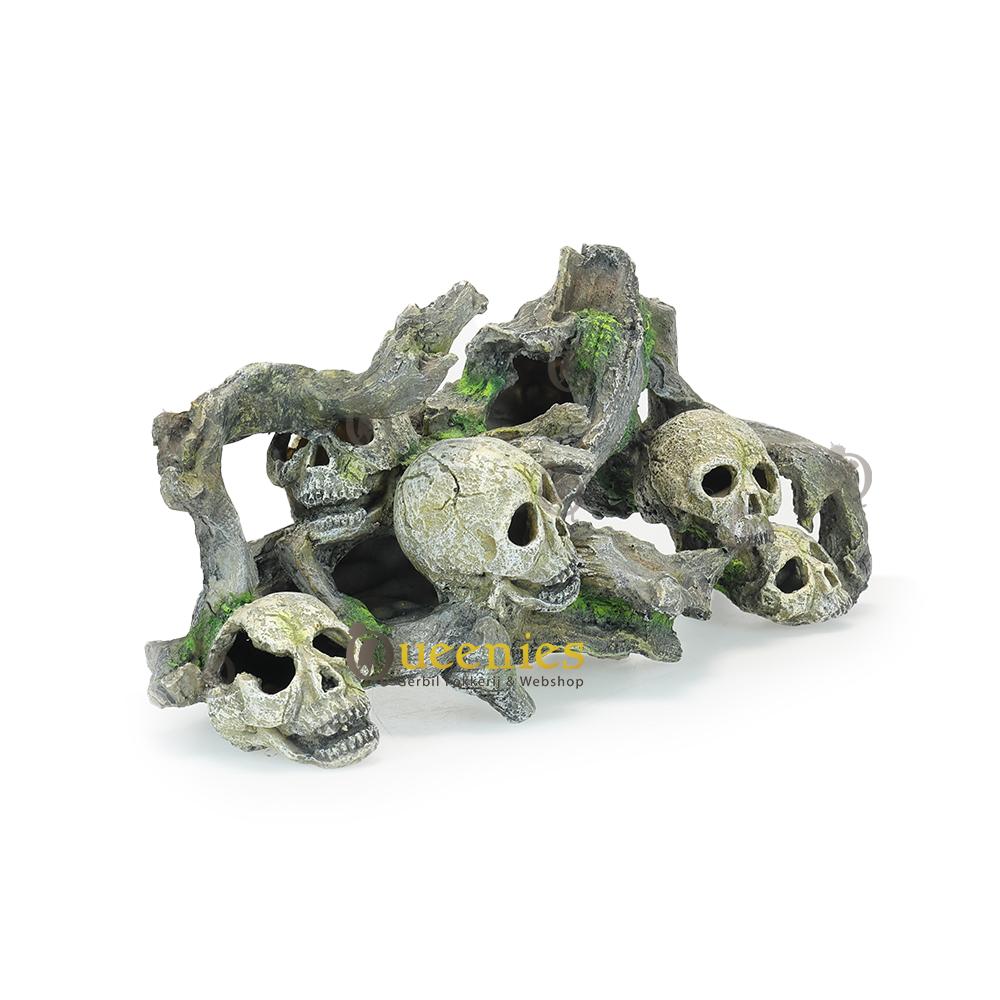 Schedels voor Knaagdieren terrarium