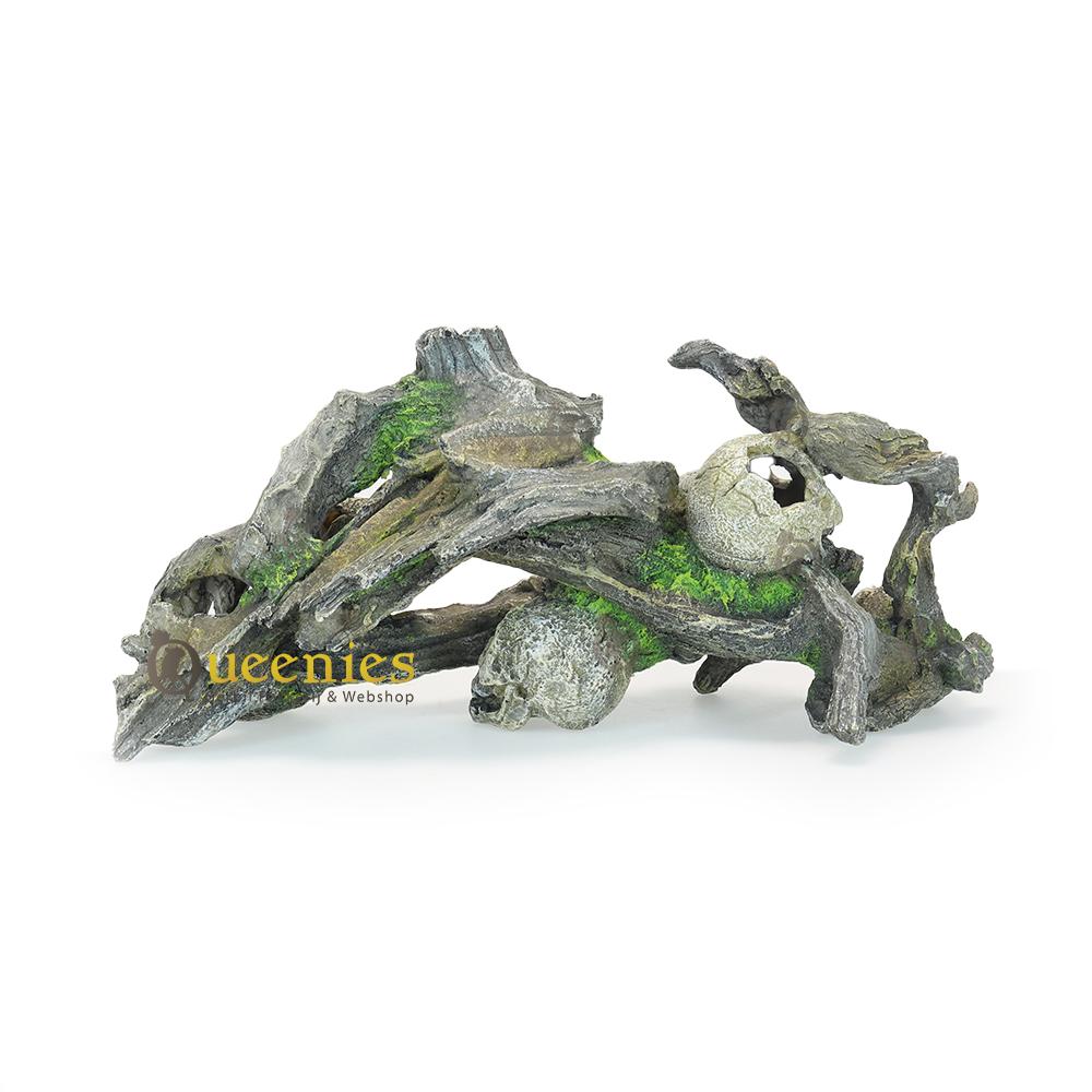 Skull artikelen voor Terrarium