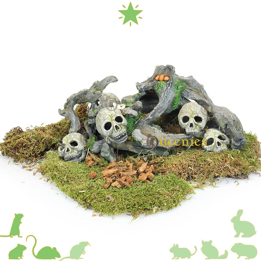 Natuurlijke inrichting Knaagdieren terrarium