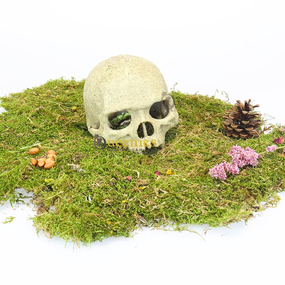 Schedel van kunsthars in Hamsterscaping