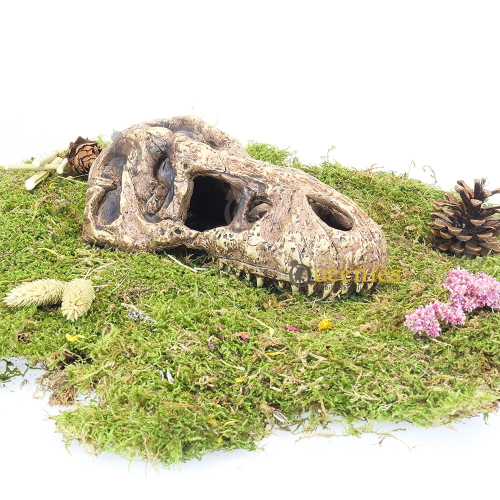 T-Rex Hamsterscape Thema voor Dwerghamsters