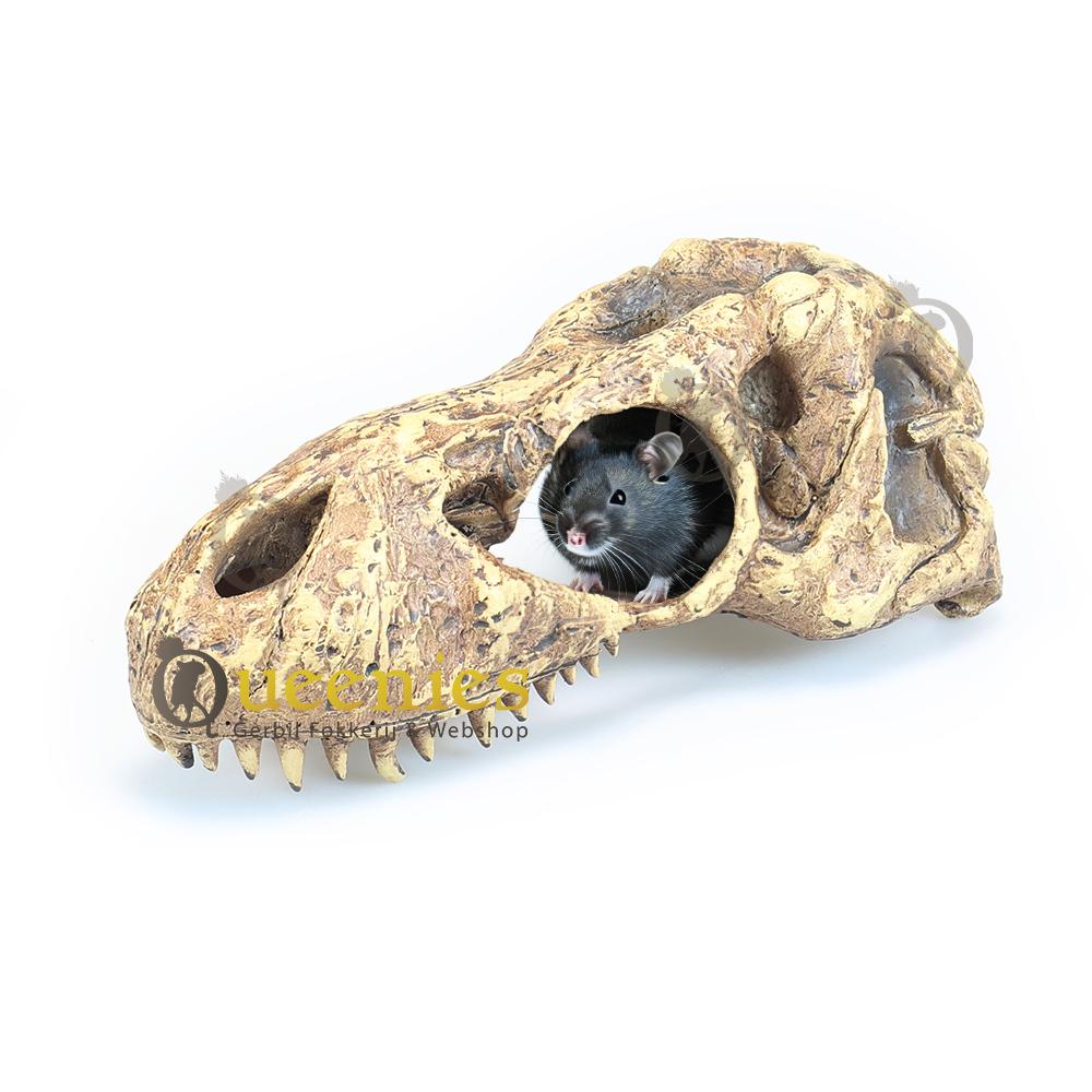 Muizen schedel in Hamsterscaping - Halloween thema