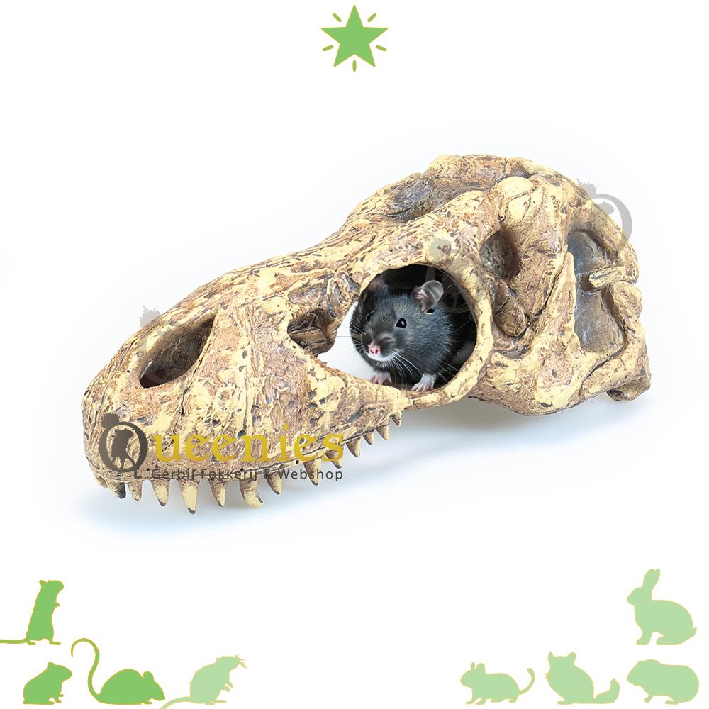Exo Terra T-Rex Schedel voor Knaagdieren terrarium