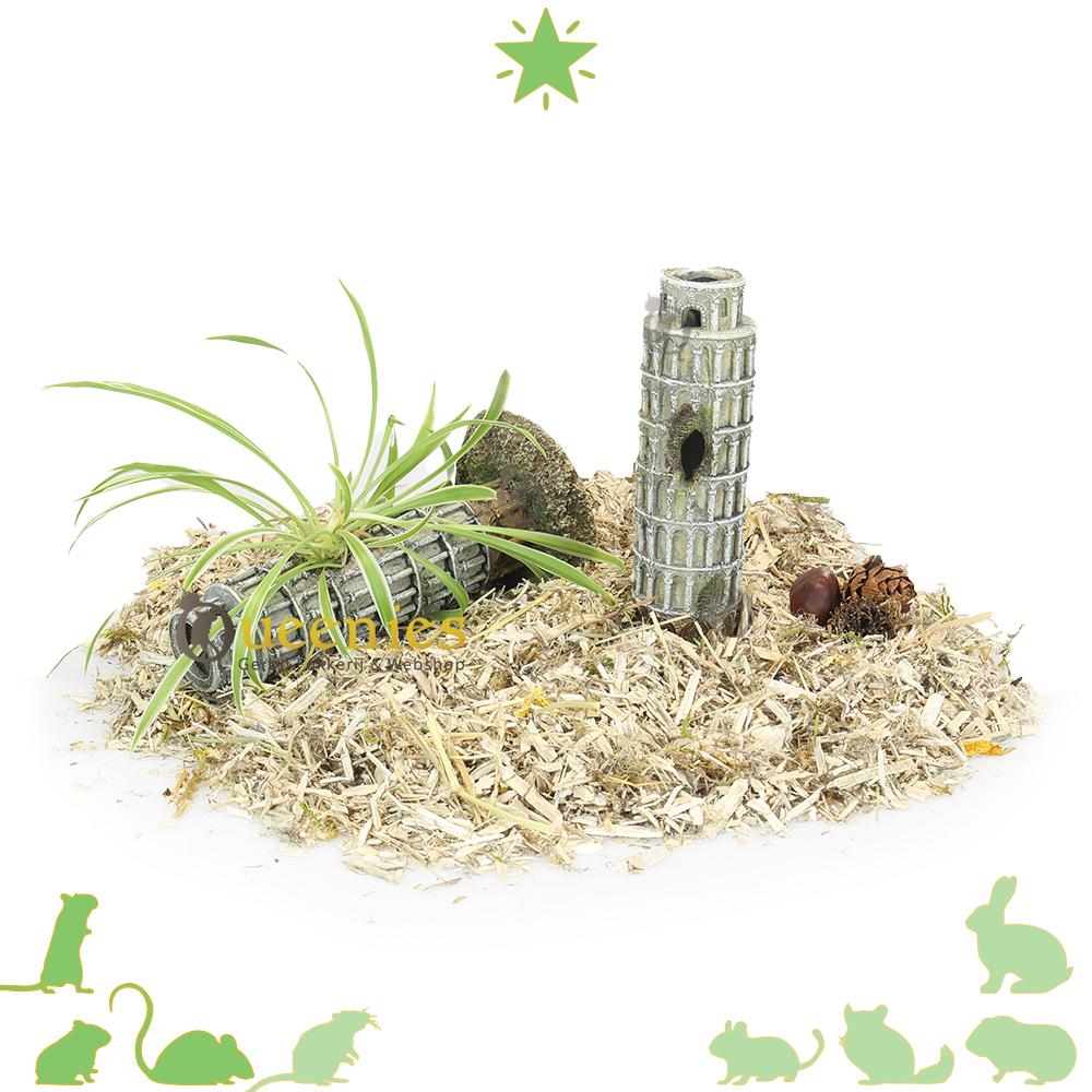 Natuurlijke hamsterscaping met de Toren van Pisa 9 cm