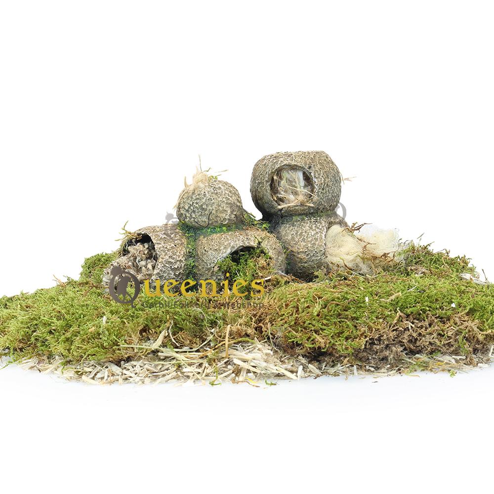 Grotten van stenen voor Knaagdieren