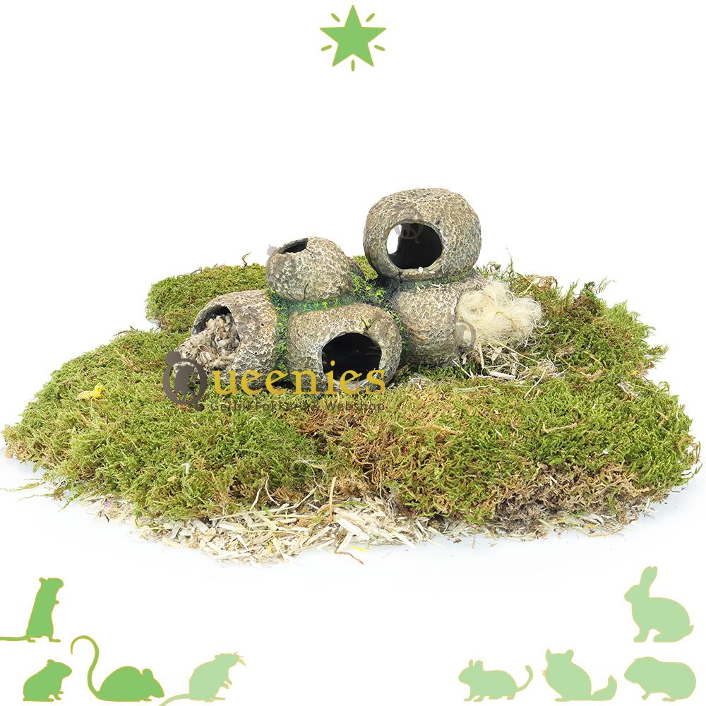 Schuilgrot voor Knaagdieren – Natuurlijke inrichting voor Hamsterscaping